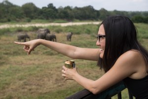 Spotting Elephants from the lodge