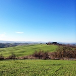 Beautiful Val d'Orcia